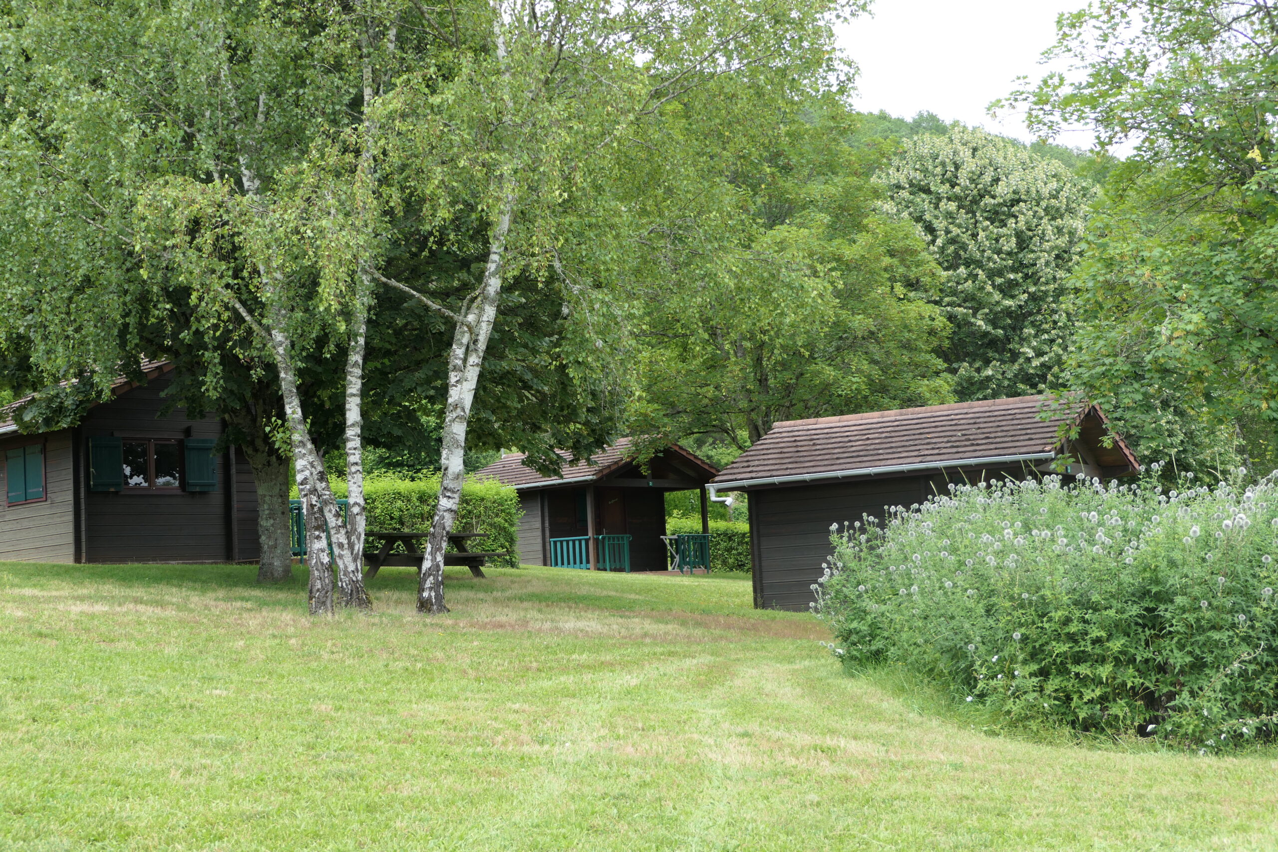 À l'orée de la forêt - Montbard