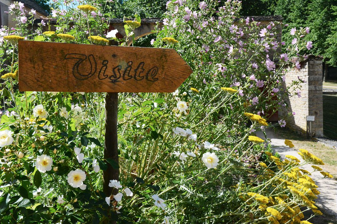 Les visites en Bourgogne