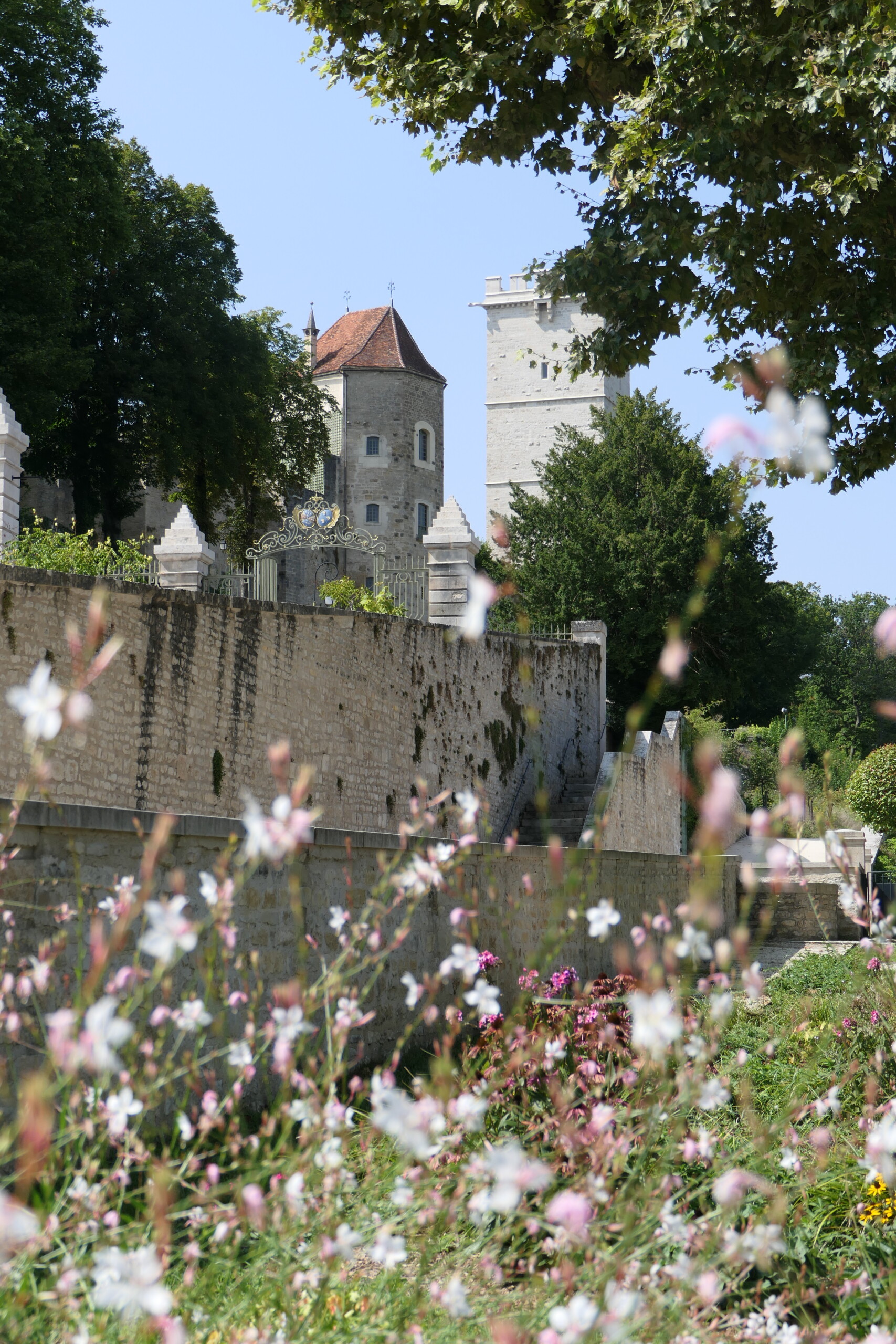 Parc Buffon - Montbard en Bourgogne